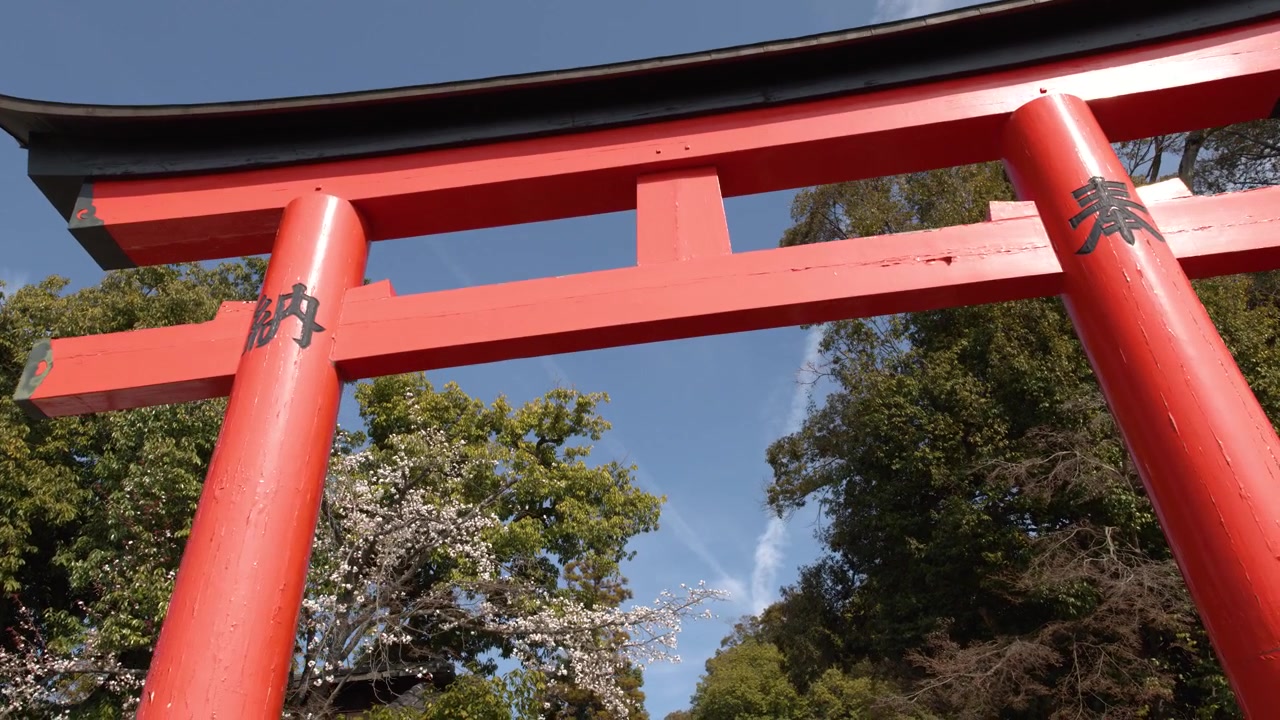 Matala seurantakuva punaisesta torii-portista sinistä taivasta ja vihreitä puita vasten.