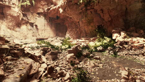 trail in a hawaiian rain forest leading to big cave