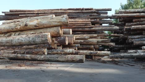 Dolly-shot-of-the-Forestry-pile-of-freshly-cut-tree-timber