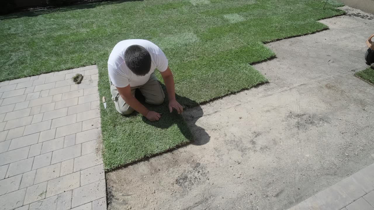 rollo de nuevo césped natural instalado por jardinero profesional. industria de jardinería.