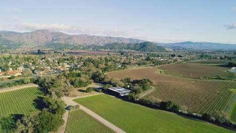 aerial forward dolly over vineyards in napa valley with distant mountains