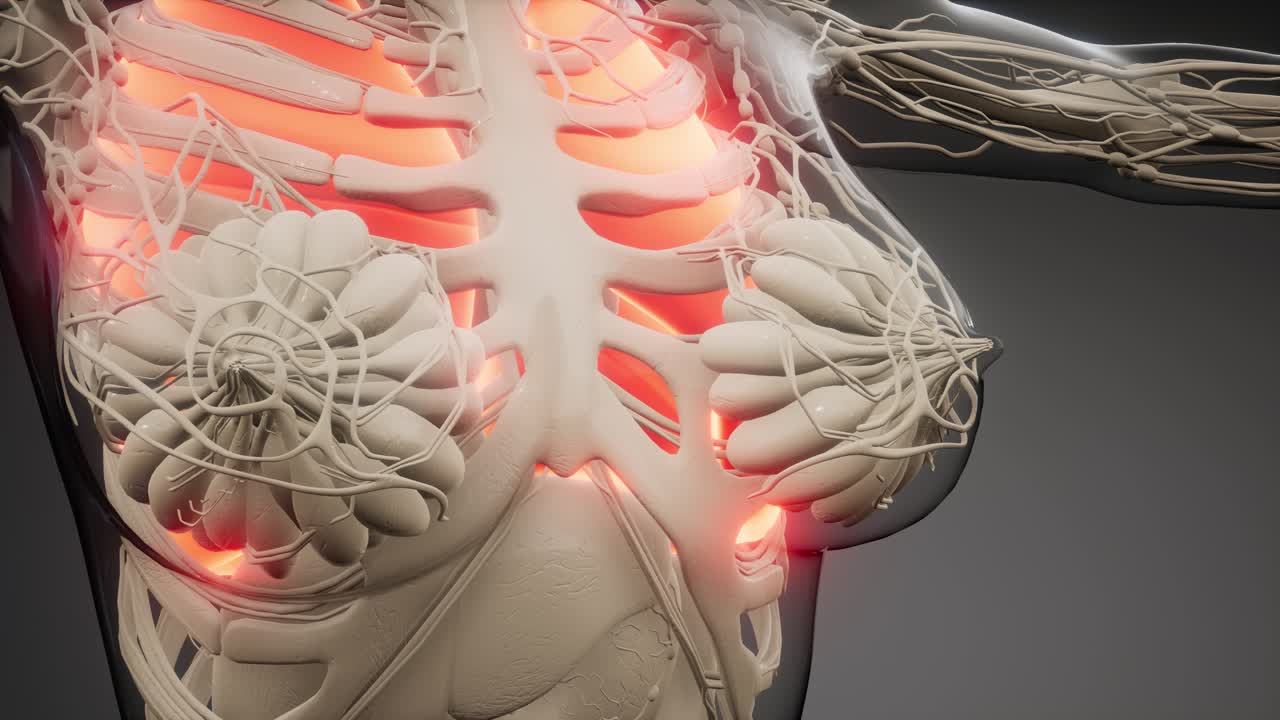 인간의 폐 방사선 검사