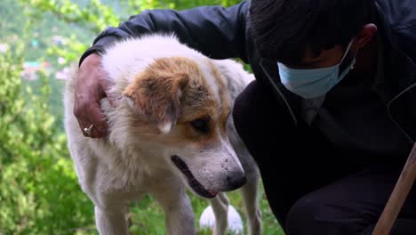 Ein-Indischer-Mann-Mit-Maske,-Der-Einen-Entzückenden-Haushund-In-Manali,-Himachal-Pradesh,-Indien-Streichelt---Nahaufnahme-Slowmo