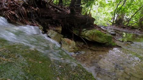 man hikes on trail near linville falls nc, north carolina