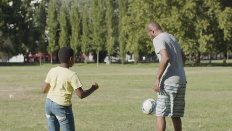 Father-and-son-spending-time-in-park,-playing-ball-game.