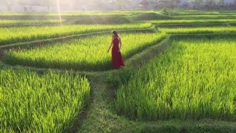 Una-Mujer-Con-Un-Vestido-Rojo-Caminando-En-Una-Terraza-De-Arroz-Explorando-El-Exótico-Paisaje-Cultural-A-Través-De-Bali,-Indonesia