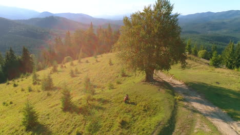 green landscape in the mountains. musician on hill at sunlight. woman playing cello among beautiful nature. camera moving down.