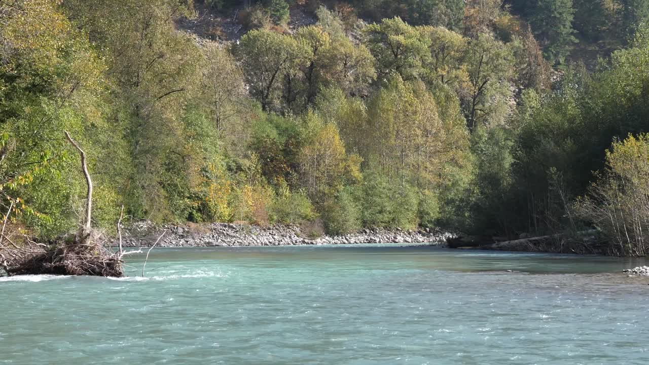 여름 동안 산비탈 숲에 흐르는 파문 물