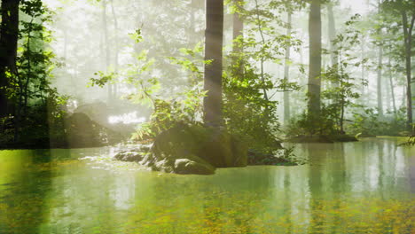 pond in a forest with fog