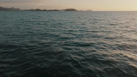 Paisaje-De-Puesta-De-Sol-En-El-Océano-Con-Gaviotas-Volando-Sobre-El-Agua-En-Guanacaste,-Costa-Rica---Disparo-De-Drones