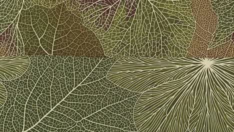intricate patterns of nature: a close-up exploration of leaf structures and textures captured in two distinct frames showcasing the beauty of plant life