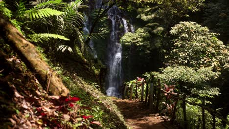 cascading waterfall banyu wana amertha surrounded by lush vegetation in bali, indonesia