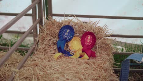 Competition-Award-Ribbon-Rosettes-Displaying-On-Haystack-In-Old-Barnyard-During-The-Royal-Cornwall-Show-In-Cornwall,-England,-UK---Closeup-Shot