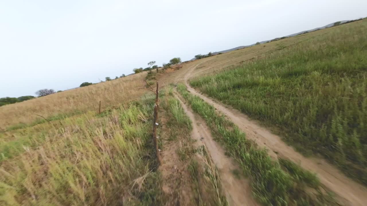un avión no tripulado de fpv se mueve rápidamente a través de campos de cultivo de trigo en la india rural.