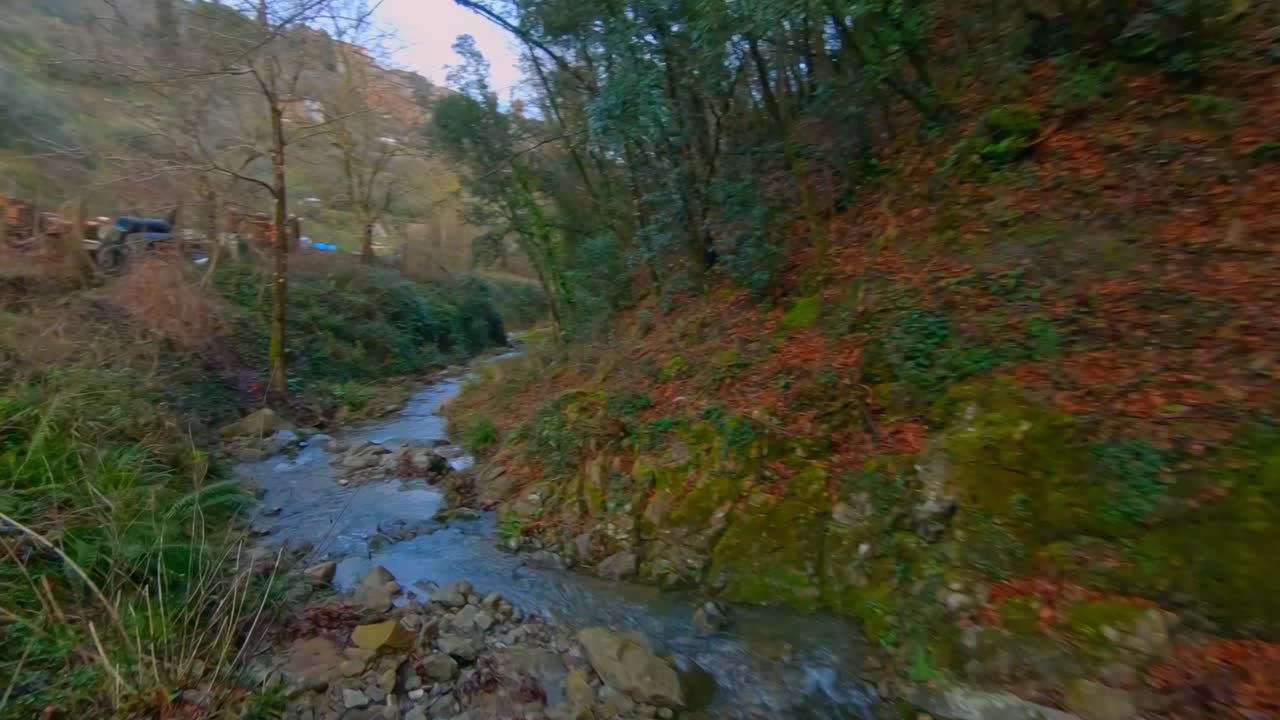 Piccolo fiume nel bosco in Italia, Toscana.