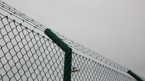 Commercial-passenger-jet-flies-over-a-chain-link-and-barbed-wire-fence---takeoff-or-landing-at-a-nearby-airport