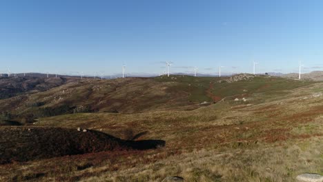 Wind-turbines-producing-alternative-energy-Aerial-View