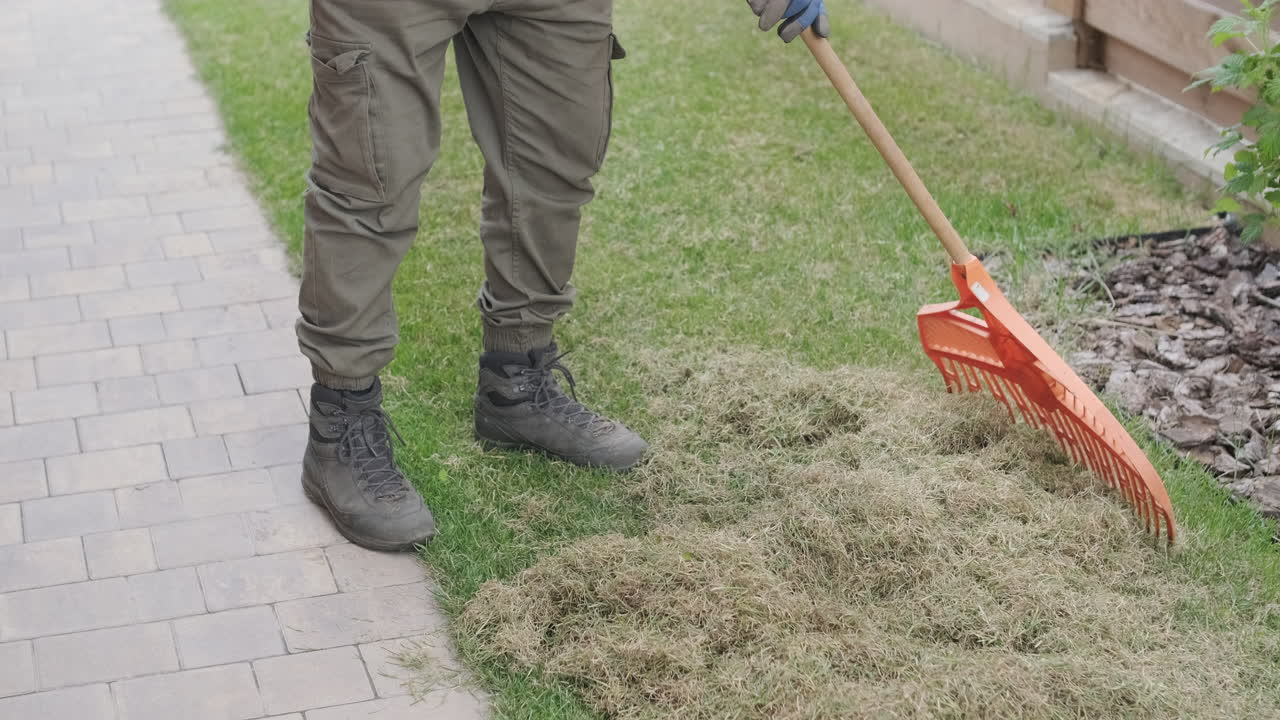 Pessoa ancinhando grama morta de um gramado verde