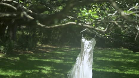 Brautkleid,-Das-In-Der-Natur-An-Einem-Baum-Hängt,-Weht-Leicht-Im-Wind