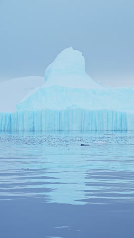 Iceberg-Antártico,-Paisaje-Marino-Costero-De-Hielo-Flotando-En-El-Agua-Del-Océano,-Video-Vertical-Para-Redes-Sociales,-Carretes-De-Instagram-Y-Tiktok,-Paisaje-Invernal-De-La-Península-Antártica