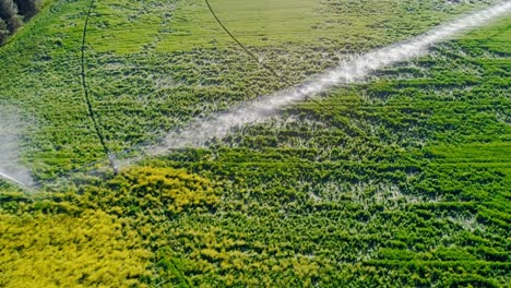 Irrigation-of-green-crops-4k