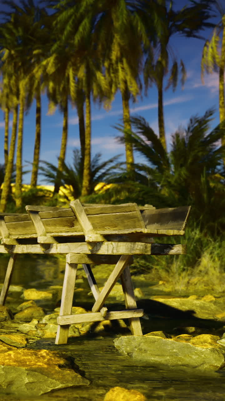 Wooden structure by a serene stream surrounded by palm trees at night