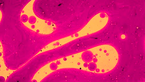 colorful oil drops floating on water surface, top view. fantastic abstract background. bright bubbles moving and spreading. close up 4k video of weird liquid structures. scientific chemical experiment