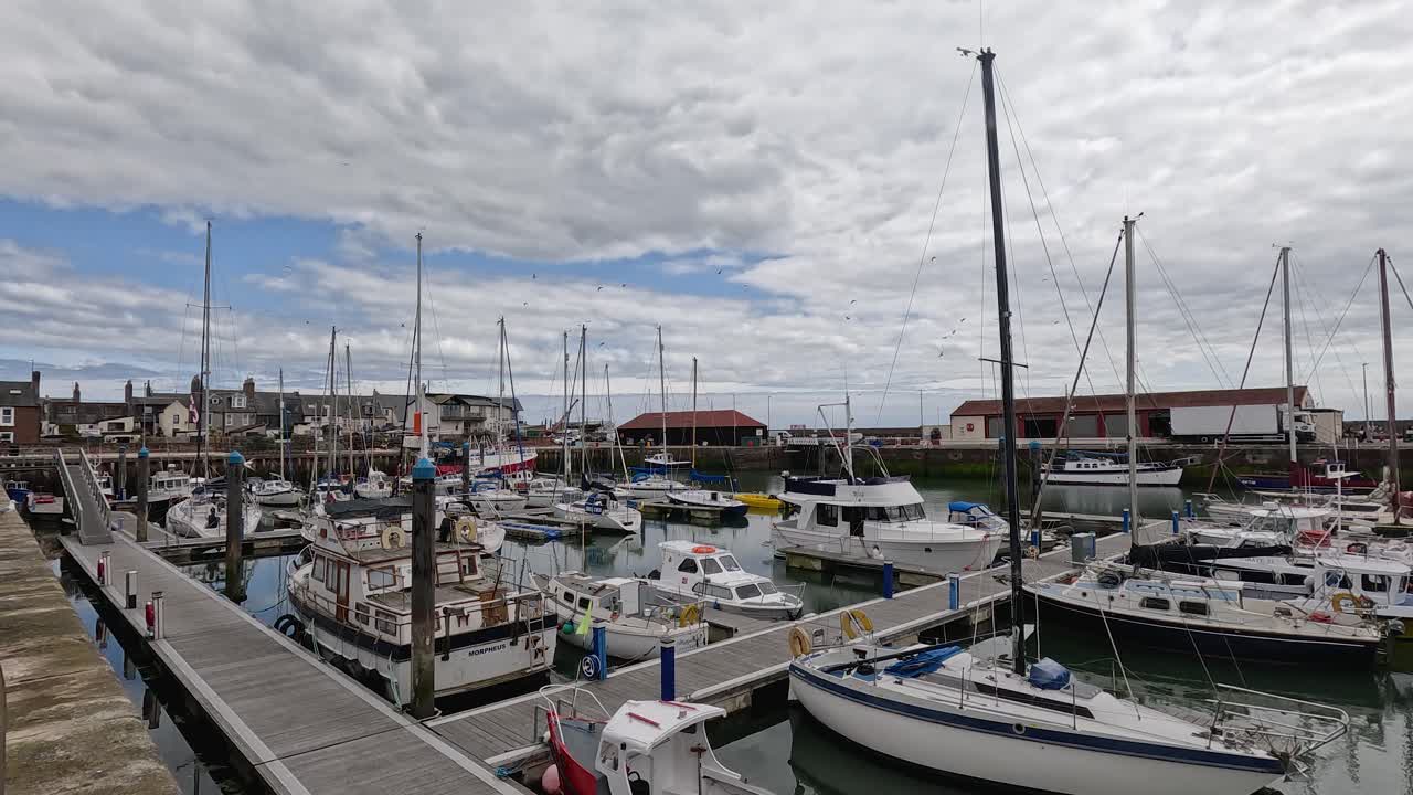 Static wide shot of marina, yachts, boats, cloudy sky, calm water, and waterfront buildings