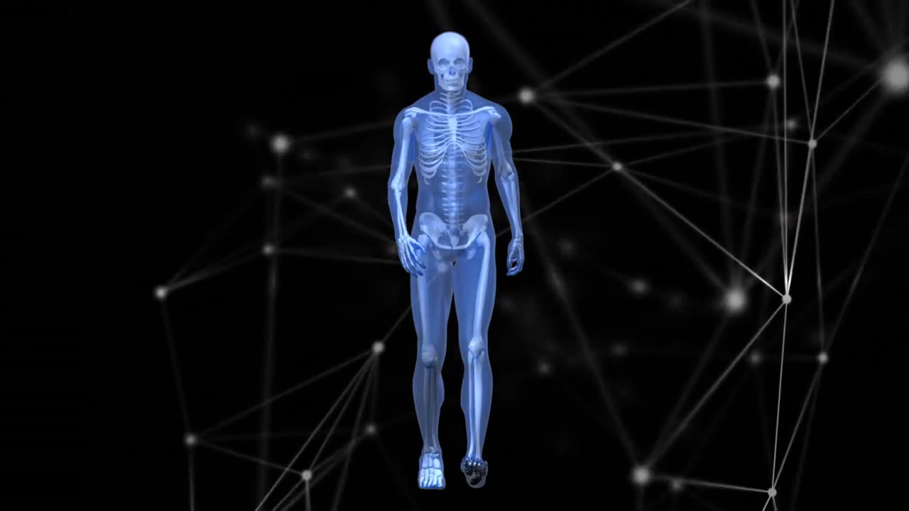 animación de la red de conexiones y procesamiento de datos sobre el modelo del cuerpo humano