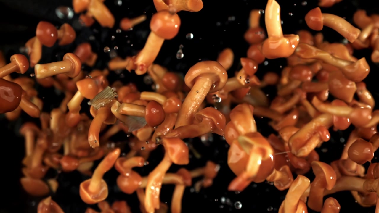 Fresh Enoki Mushrooms Falling in Slow Motion with Water Drops