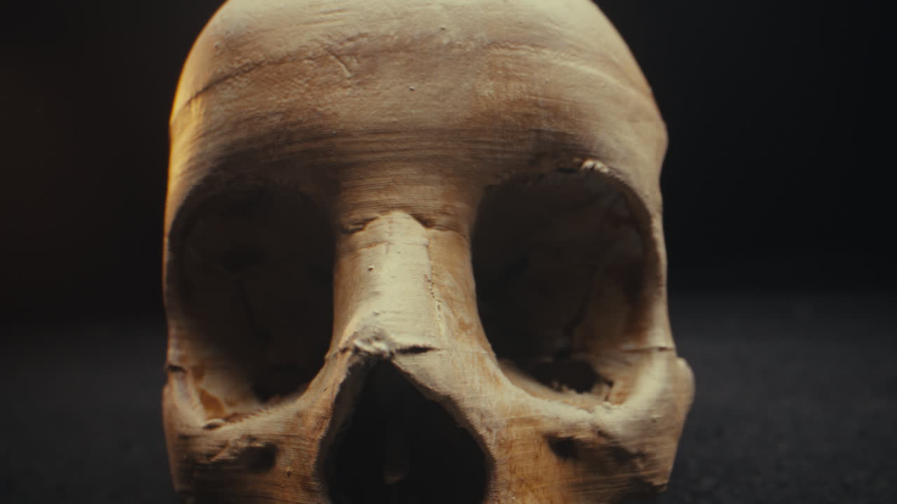Detailed Close-up of a 3D Printed Skull Model