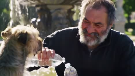 a heartwarming moment between a man and his dog as they share water bottles in a sunlit park setting, showcasing their bond and joyful connection