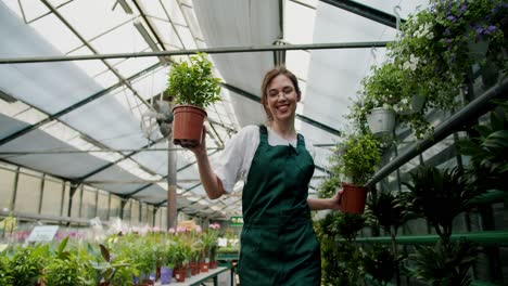 Ritmo-Alegre-De-Verdor:-Bailando-Con-Plantas-En-Una-Tienda-Especializada