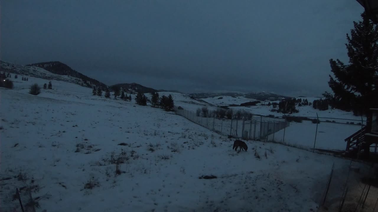 벽에 당구 큐가 있는 통나무 집에서 겨울철 외부 전망