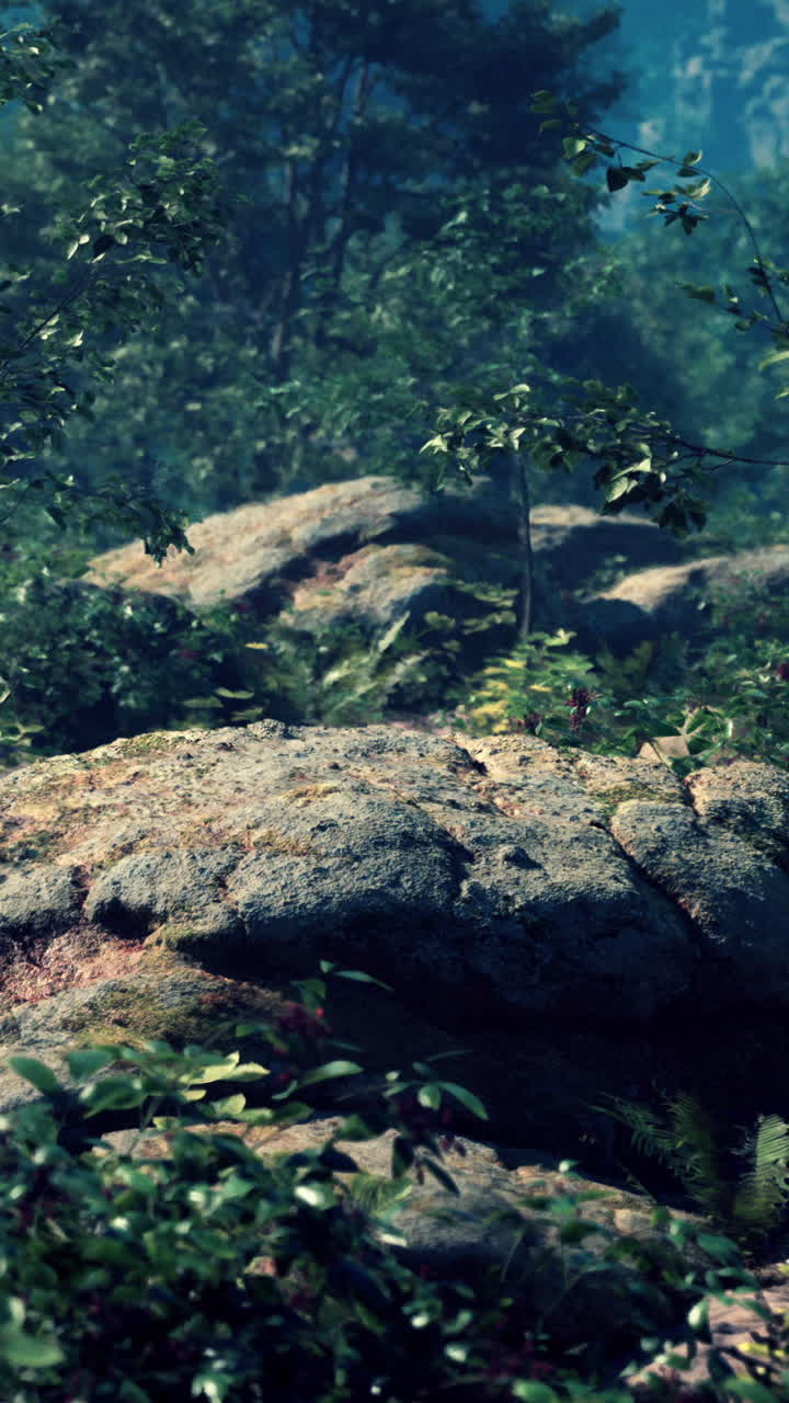 primer plano de una gran roca cubierta de musgo en un bosque verde exuberante