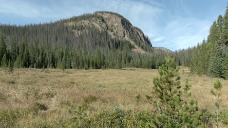 Schwenk-Aufwärts-Von-Der-Wiese-Zum-Wald-Und-Berg-In-Colorado