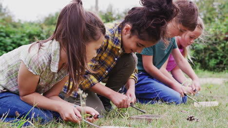 Grupo-De-Niños-En-Un-Viaje-De-Campamento-Al-Aire-Libre-Aprendiendo-A-Hacer-Fuego