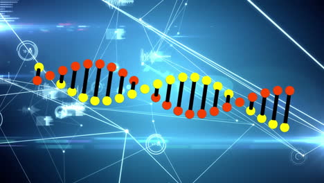 animación de la cadena de adn a través de una red de conexiones