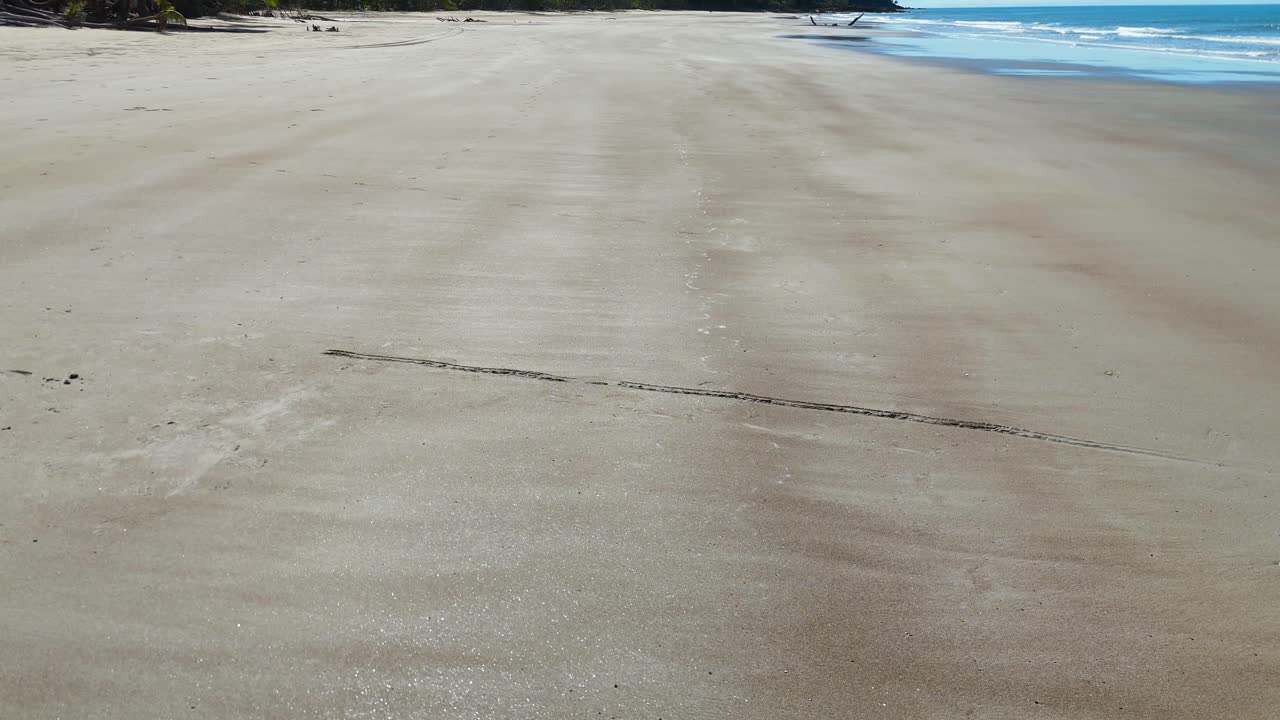 Drone glides above deserted sandy beach, rainforest edge, and gentle ocean waves in bright sunlight