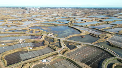 vista aérea panorámica de las marismas saladas de guérande