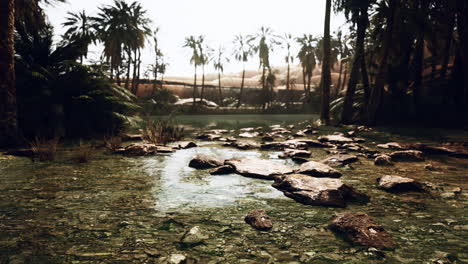 Desert-oasis-pond-with-palm-trees-and-plants