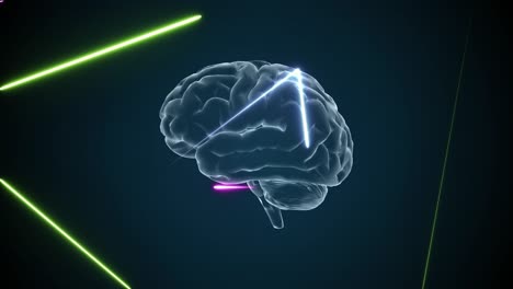 animación del cerebro 3d y efectos de neón, animación creativa. loopable infinito.