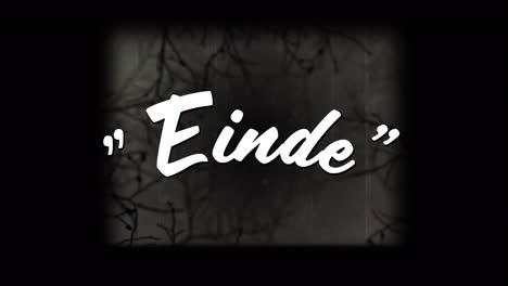 digital animation of einde text against vhs effect over creepy trees against black background