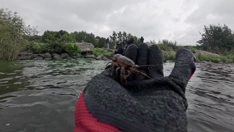 a point of view shot of person at a lake holding a crayfish with a gloved hand