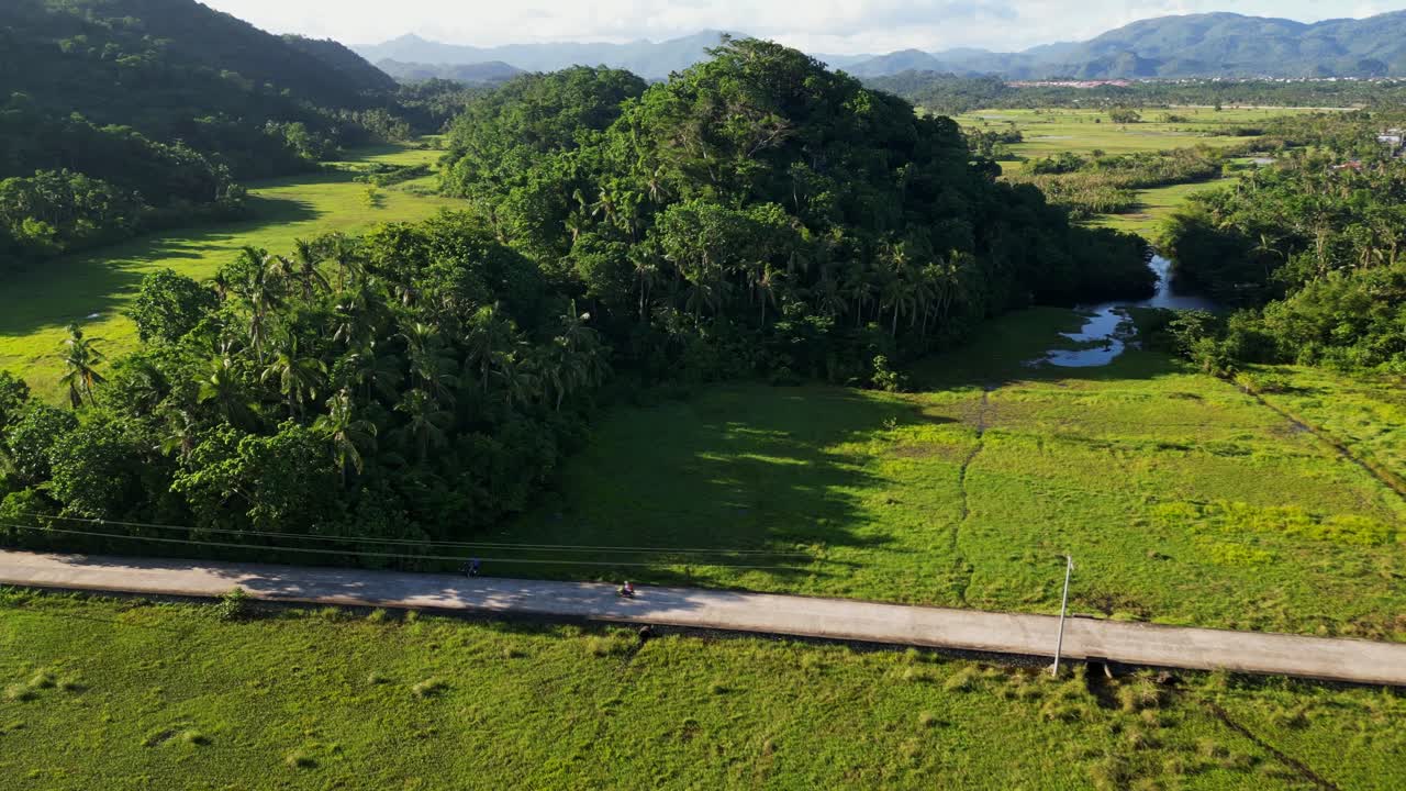 Winding road through elevated forest area in Antipolo, Virac with sunlight hitting canopy, aerial pullback reveal