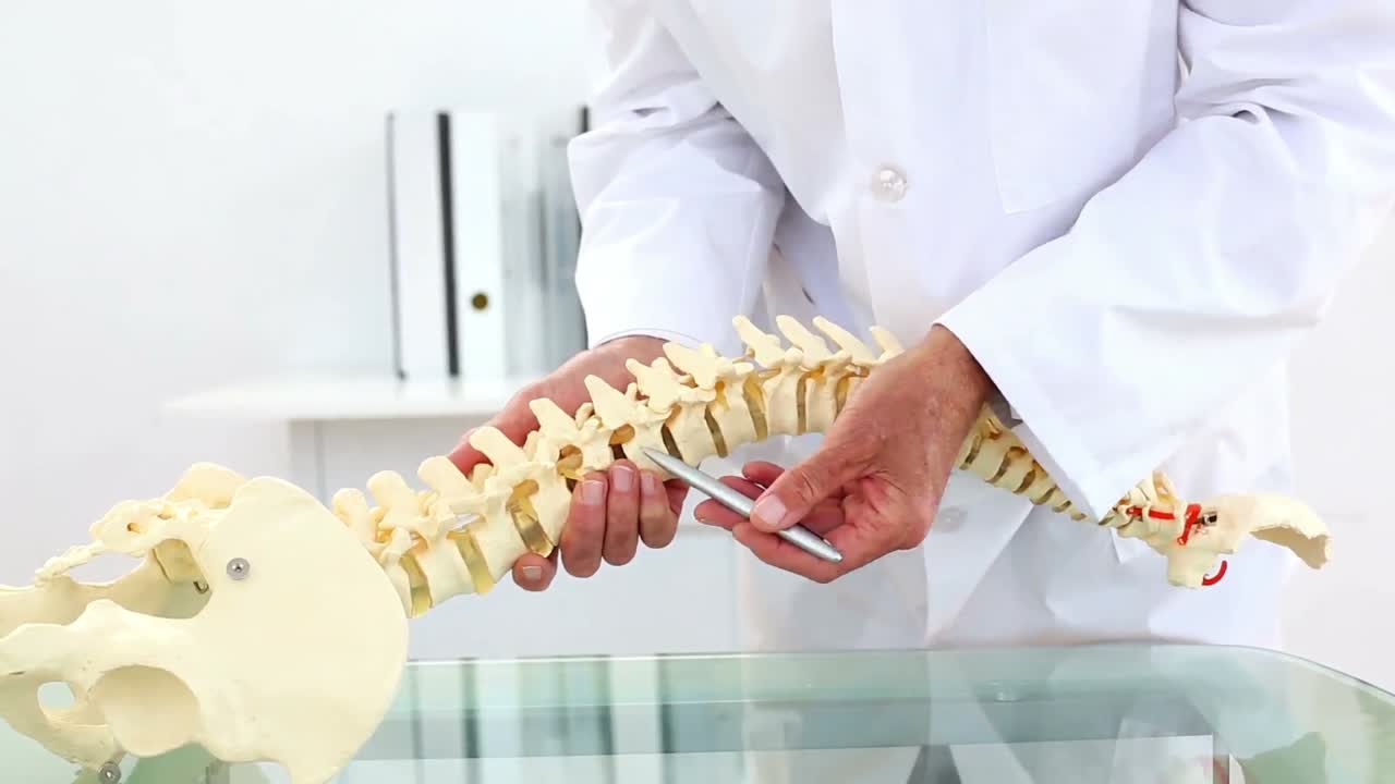 펜 을 사용 하여 골격 모델 을 설명 하는 의사