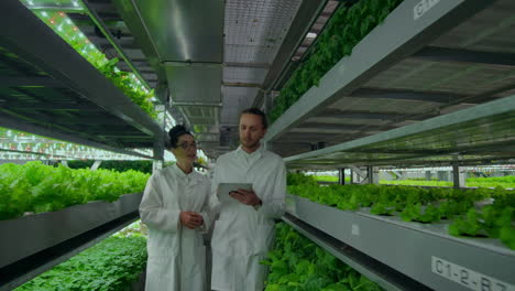 a group of scientists in white coats are on the corridor of a vertical farm with a tablet computer and discuss the plants.