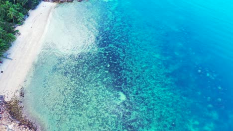 blue azure lagoon texture with beautiful coral patterns under clear crystal water washing sandy beach and cliffs on seaside of vietnam