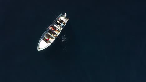 Birdseye-view-of-fisherman-reeling-in-fish-fighting-in-deep-blue-open-ocean