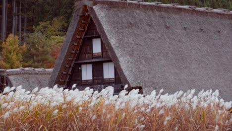 Una-Casa-Antigua-En-Shirakawago-Japón-Durante-El-Otoño